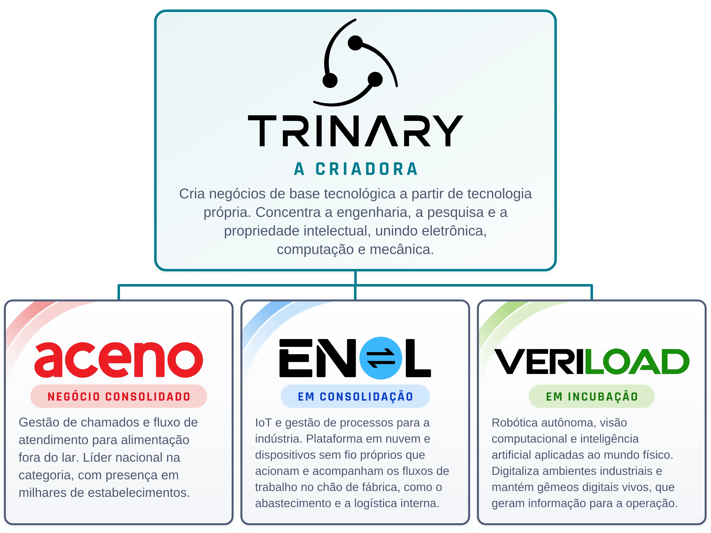A Trinary, a criadora, e os negócios que nasceram dela: Aceno (negócio consolidado), ENOL (em consolidação) e Veriload (em incubação)