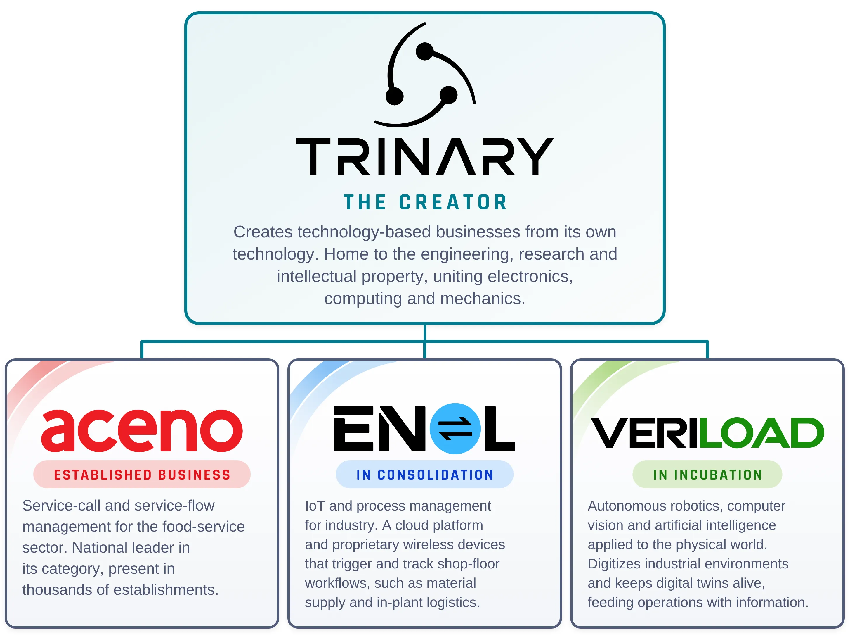 Trinary, the creator, and the businesses born from it: Aceno (established business), ENOL (in consolidation) and Veriload (in incubation)