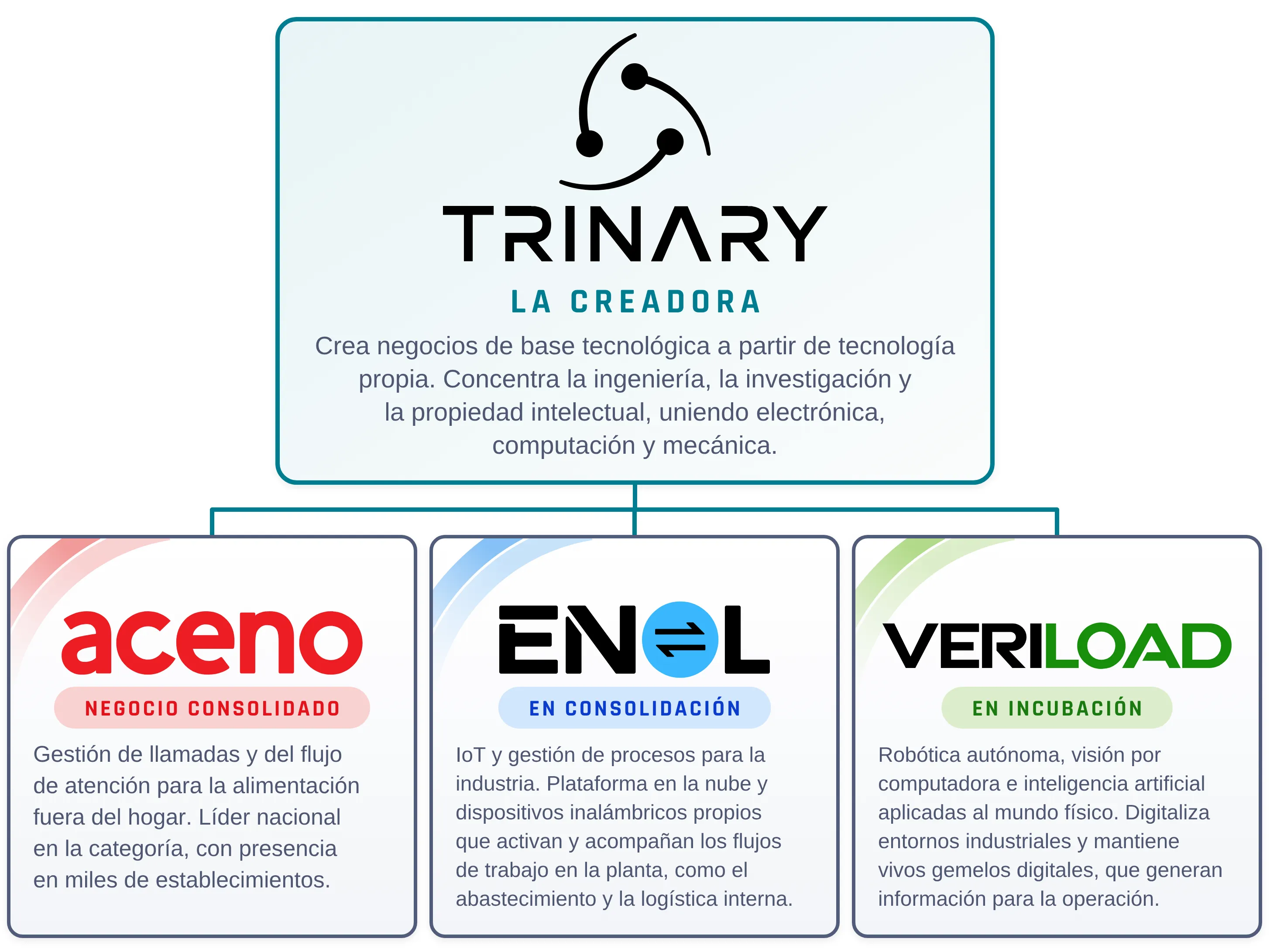 Trinary, la creadora, y los negocios que nacieron de ella: Aceno (negocio consolidado), ENOL (en consolidación) y Veriload (en incubación)